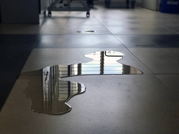 Best Water damage restoration specialists  in Kingwood, WV