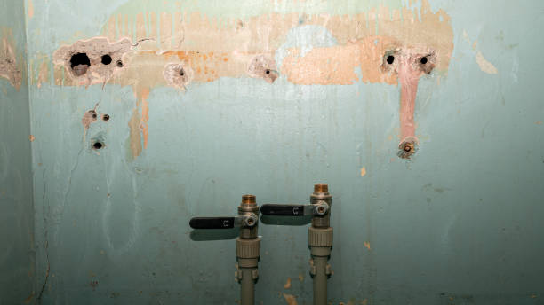 Best Emergency water damage restoration  in Kingwood, WV