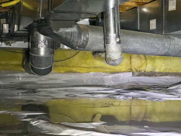 Best Water damage restoration experts  in Kingwood, WV
