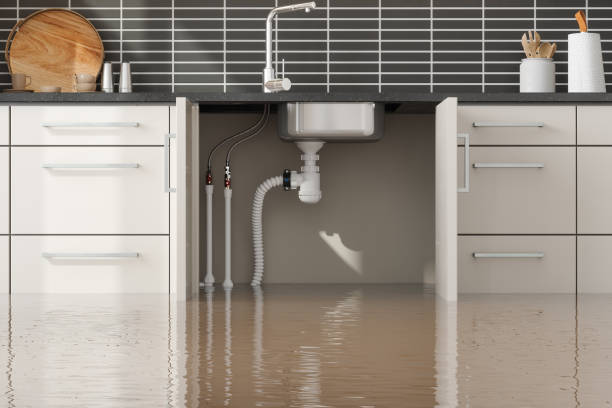 Best Flood restoration services  in Kingwood, WV