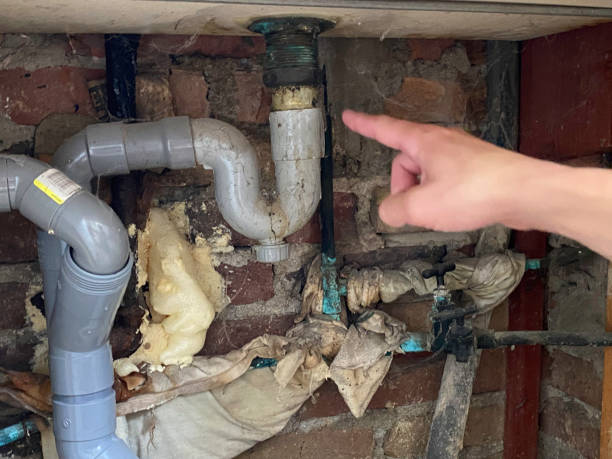 Best Professional water damage repair  in Kingwood, WV