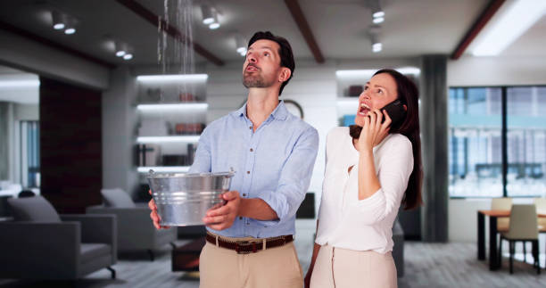  Kingwood, WV Water damage restoration Pros