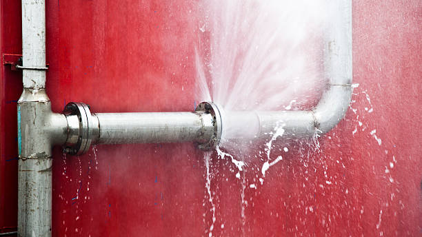 Best Water damage restoration near me  in Kingwood, WV