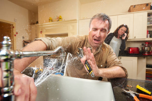 Best Local water damage restoration  in Kingwood, WV